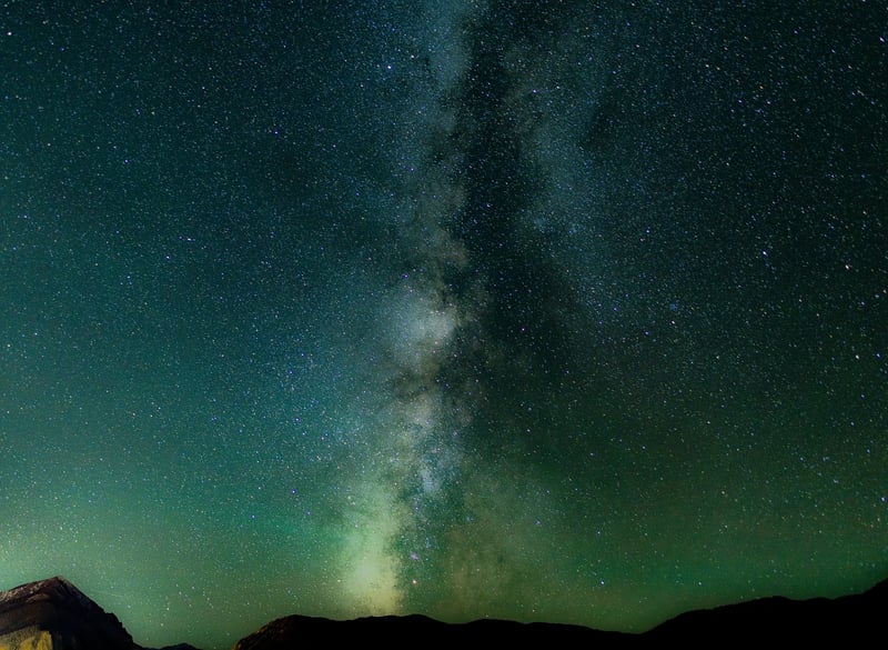 Starry sky over garden
